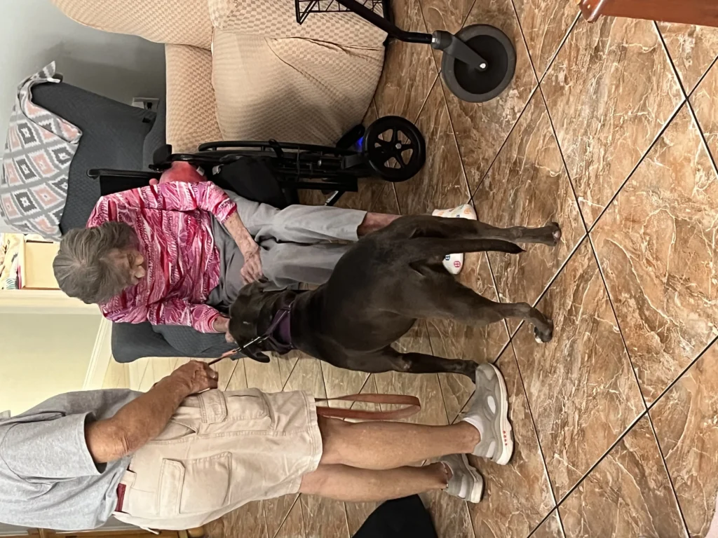 Seniors participating in cognitive engagement activities at Aliviya Rose Manor, a dementia care home in Florida