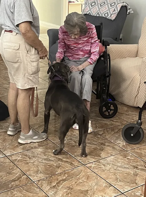 Seniors engaging in a cognitive activity at a memory care facility, supported by trained staff